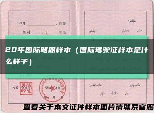 20年国际驾照样本（国际驾驶证样本是什么样子）缩略图