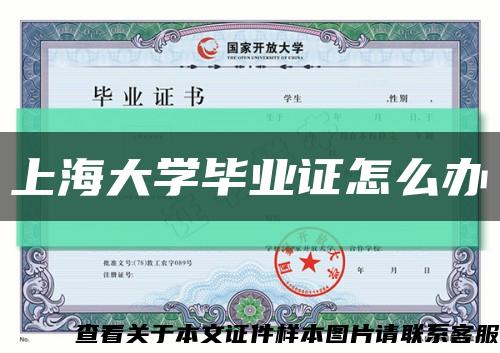 上海大学毕业证怎么办缩略图