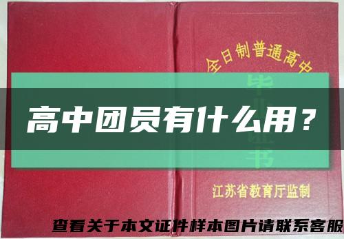 高中团员有什么用？缩略图