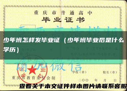 少年班怎样发毕业证（少年班毕业后是什么学历）缩略图