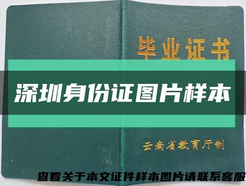 深圳身份证图片样本缩略图