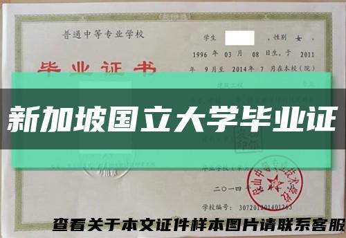 新加坡国立大学毕业证缩略图