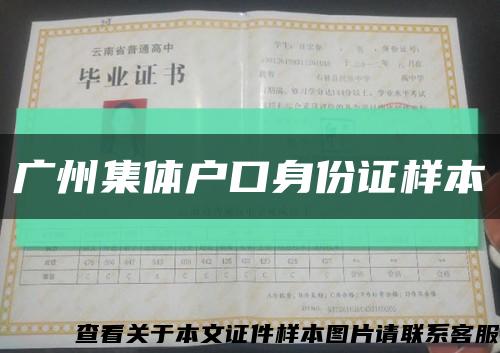 广州集体户口身份证样本缩略图