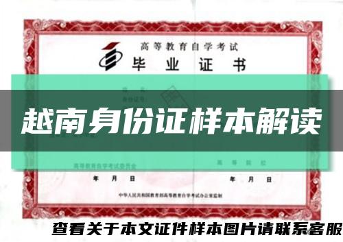 越南身份证样本解读缩略图