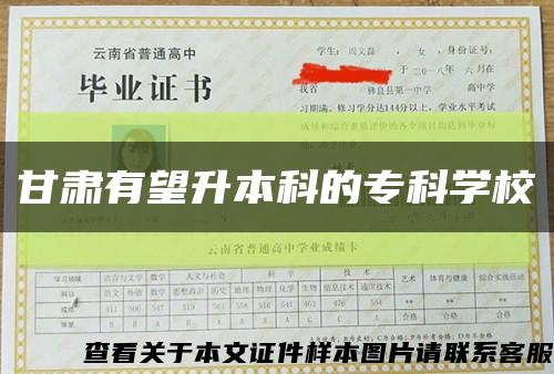 甘肃有望升本科的专科学校缩略图