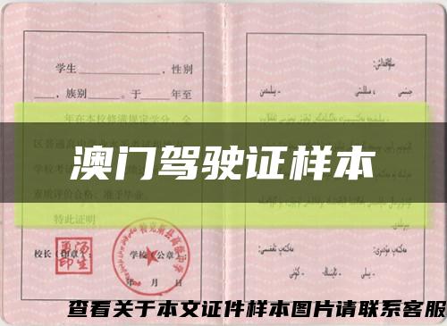 澳门驾驶证样本缩略图