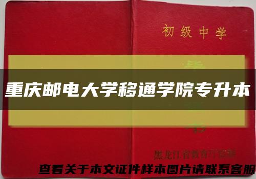 重庆邮电大学移通学院专升本缩略图