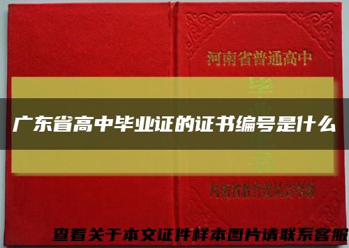 广东省高中毕业证的证书编号是什么缩略图