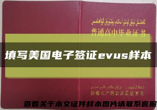 填写美国电子签证evus样本缩略图