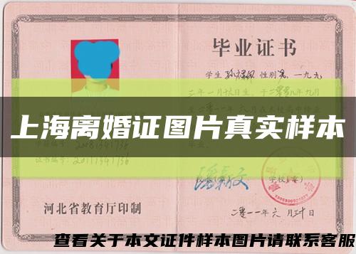 上海离婚证图片真实样本缩略图