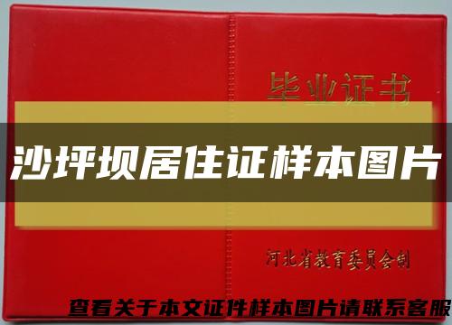 沙坪坝居住证样本图片缩略图