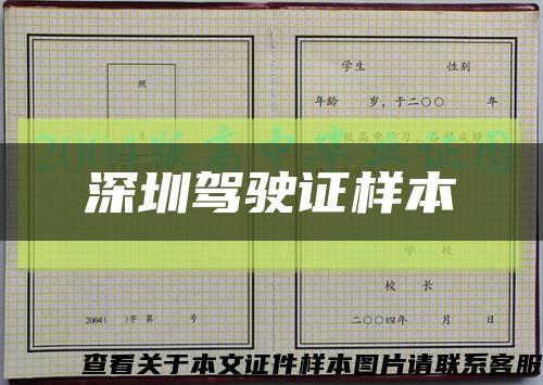 深圳驾驶证样本缩略图