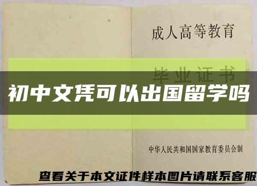 初中文凭可以出国留学吗缩略图