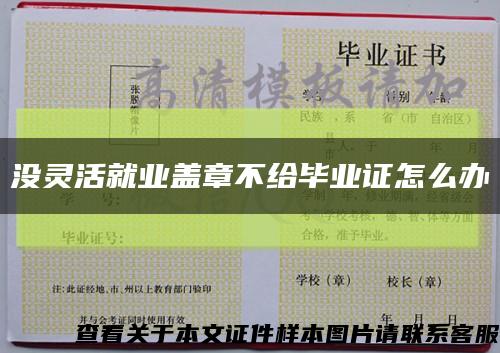 没灵活就业盖章不给毕业证怎么办缩略图