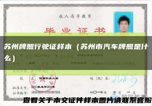 苏州牌照行驶证样本（苏州市汽车牌照是什么）缩略图