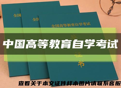 中国高等教育自学考试缩略图