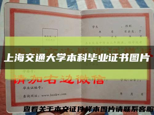 上海交通大学本科毕业证书图片缩略图