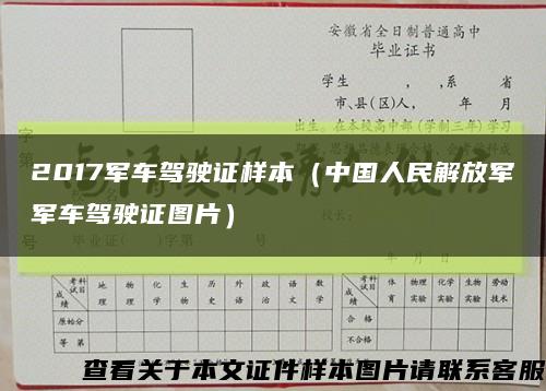 2017军车驾驶证样本（中国人民解放军军车驾驶证图片）缩略图