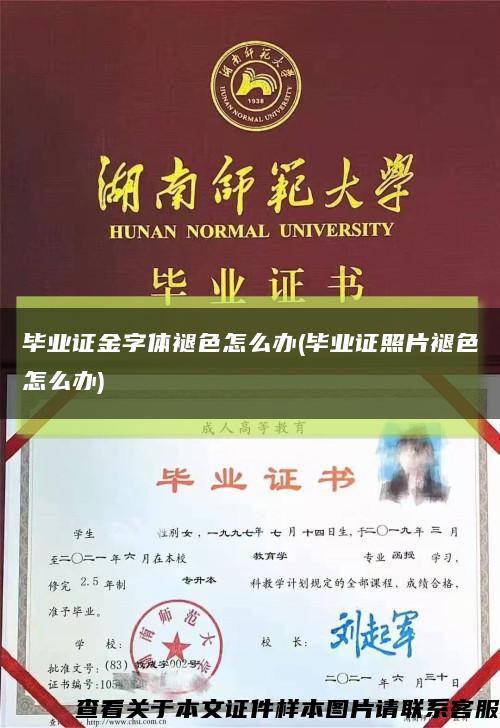 毕业证金字体褪色怎么办(毕业证照片褪色怎么办)缩略图