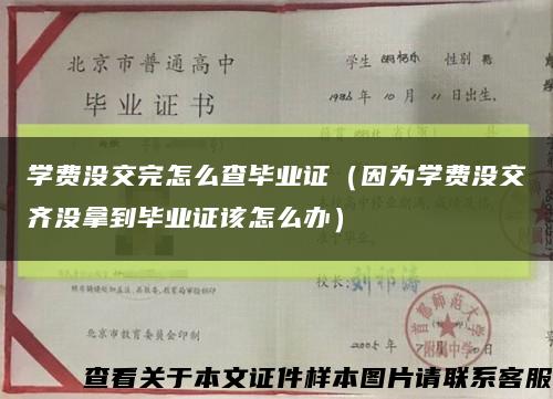 学费没交完怎么查毕业证（因为学费没交齐没拿到毕业证该怎么办）缩略图