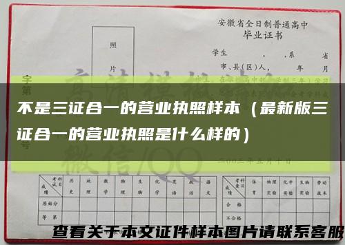 不是三证合一的营业执照样本（最新版三证合一的营业执照是什么样的）缩略图