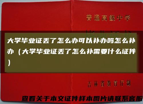 大学毕业证丢了怎么办可以补办吗怎么补办（大学毕业证丢了怎么补需要什么证件）缩略图