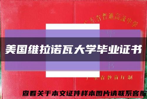美国维拉诺瓦大学毕业证书缩略图