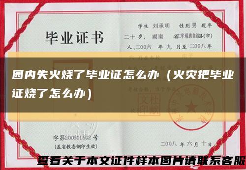园内失火烧了毕业证怎么办（火灾把毕业证烧了怎么办）缩略图