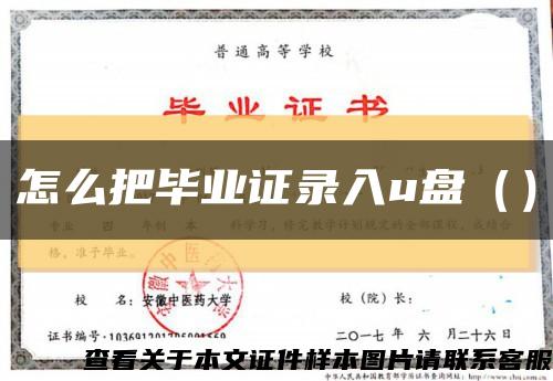 怎么把毕业证录入u盘（）缩略图