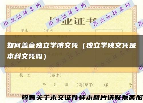 如何盖章独立学院文凭（独立学院文凭是本科文凭吗）缩略图