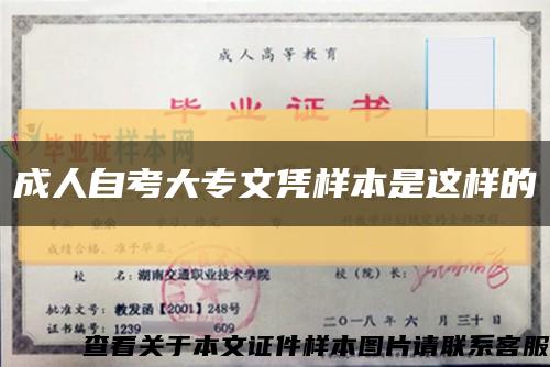 成人自考大专文凭样本是这样的缩略图