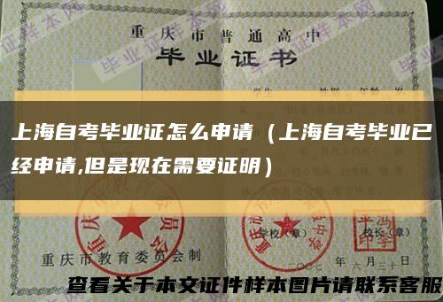上海自考毕业证怎么申请（上海自考毕业已经申请,但是现在需要证明）缩略图