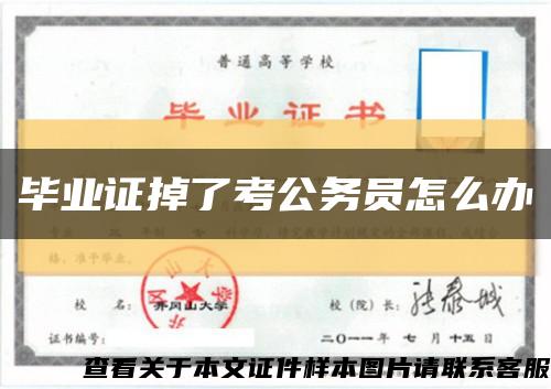 毕业证掉了考公务员怎么办缩略图