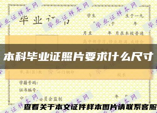 本科毕业证照片要求什么尺寸缩略图