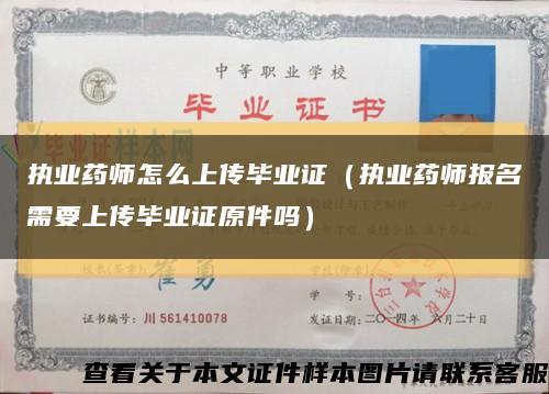 执业药师怎么上传毕业证（执业药师报名需要上传毕业证原件吗）缩略图