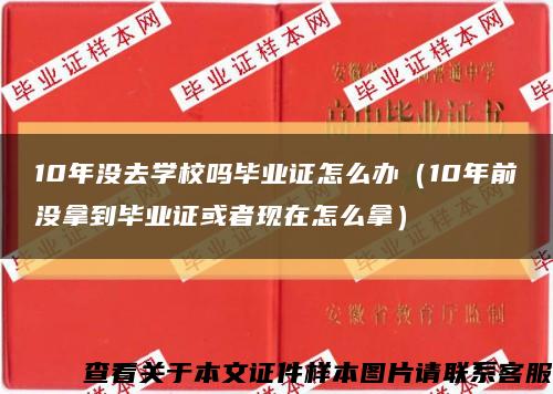 10年没去学校吗毕业证怎么办（10年前没拿到毕业证或者现在怎么拿）缩略图