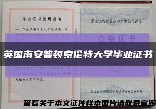 英国南安普顿索伦特大学毕业证书缩略图