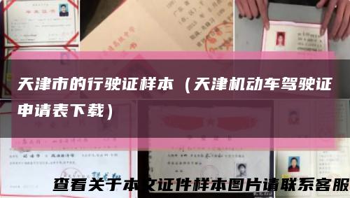 天津市的行驶证样本（天津机动车驾驶证申请表下载）缩略图