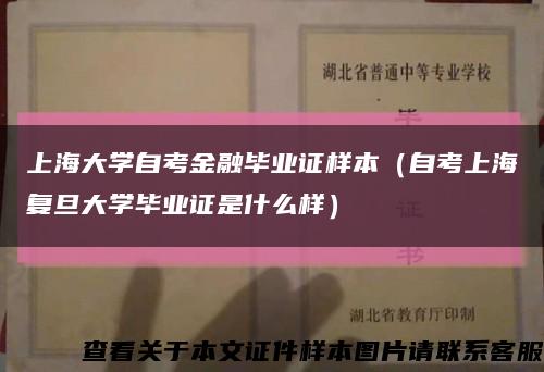上海大学自考金融毕业证样本（自考上海复旦大学毕业证是什么样）缩略图