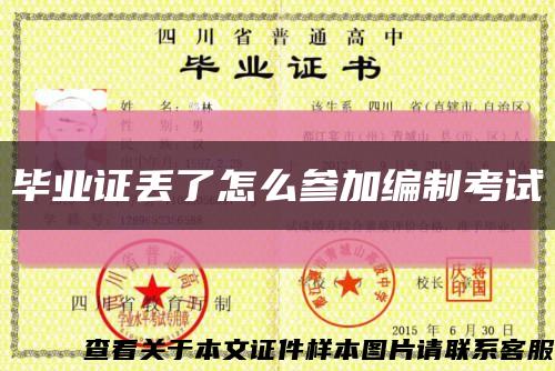 毕业证丢了怎么参加编制考试缩略图