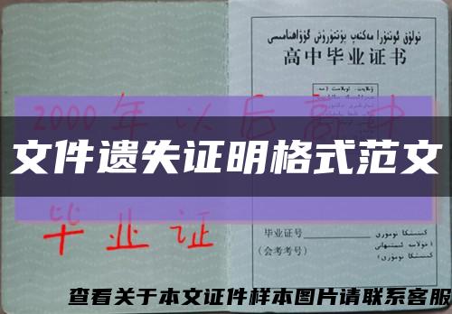 文件遗失证明格式范文缩略图