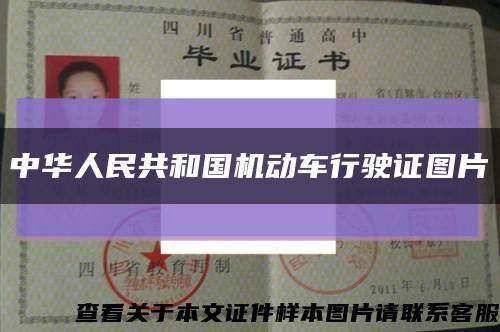 中华人民共和国机动车行驶证图片缩略图