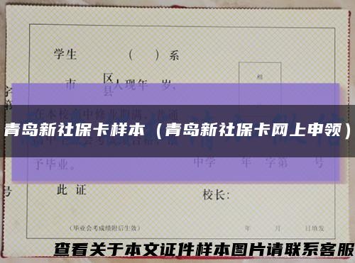 青岛新社保卡样本（青岛新社保卡网上申领）缩略图