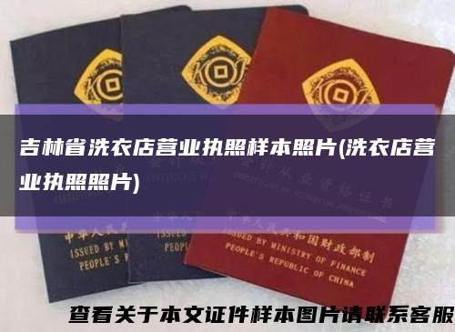 吉林省洗衣店营业执照样本照片(洗衣店营业执照照片)缩略图