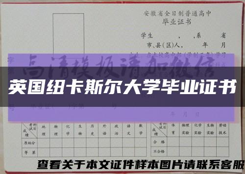 英国纽卡斯尔大学毕业证书缩略图