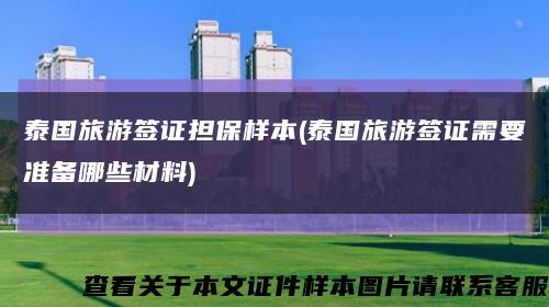 泰国旅游签证担保样本(泰国旅游签证需要准备哪些材料)缩略图