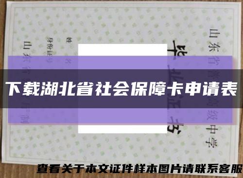 下载湖北省社会保障卡申请表缩略图
