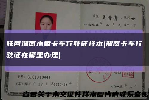 陕西渭南小黄卡车行驶证样本(渭南卡车行驶证在哪里办理)缩略图