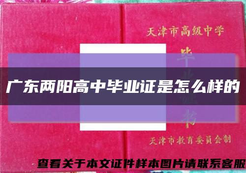 广东两阳高中毕业证是怎么样的缩略图