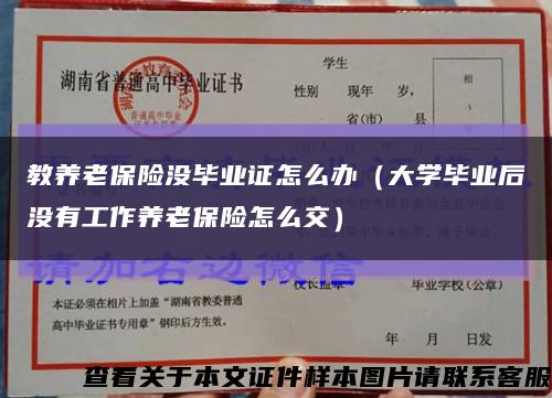 教养老保险没毕业证怎么办（大学毕业后没有工作养老保险怎么交）缩略图